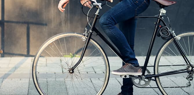 Advocates of Mobility